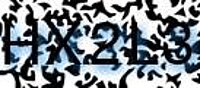 grafischer Sicherheitscode