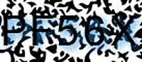 grafischer Sicherheitscode