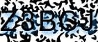 grafischer Sicherheitscode