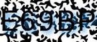 grafischer Sicherheitscode