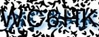 grafischer Sicherheitscode